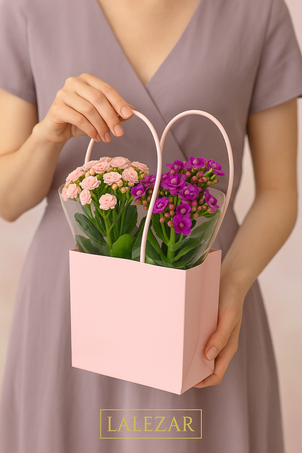 Kalanchoe Çiçeği