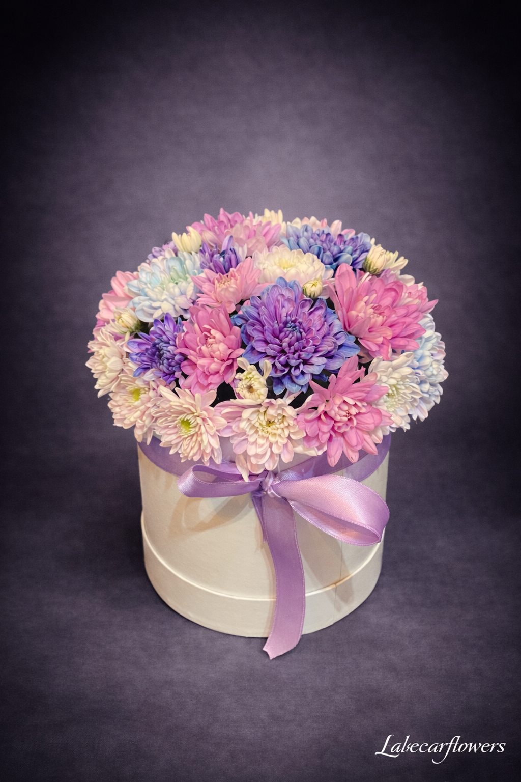 Canım Askıma Kasımpatı