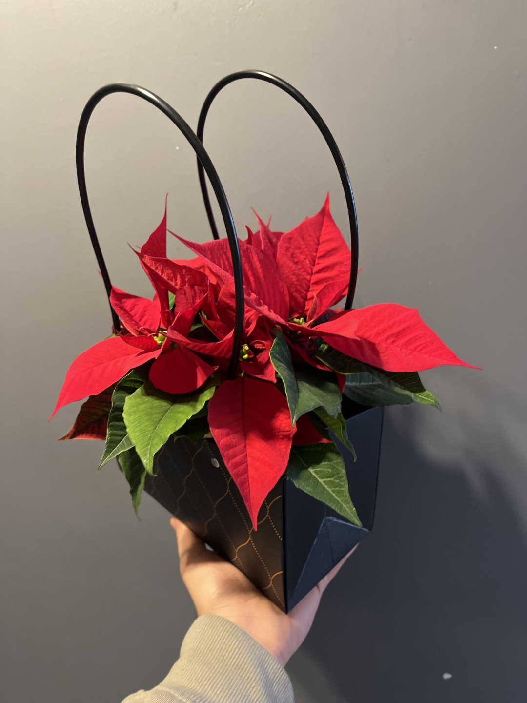 Çantada Atatürk Çiçeği