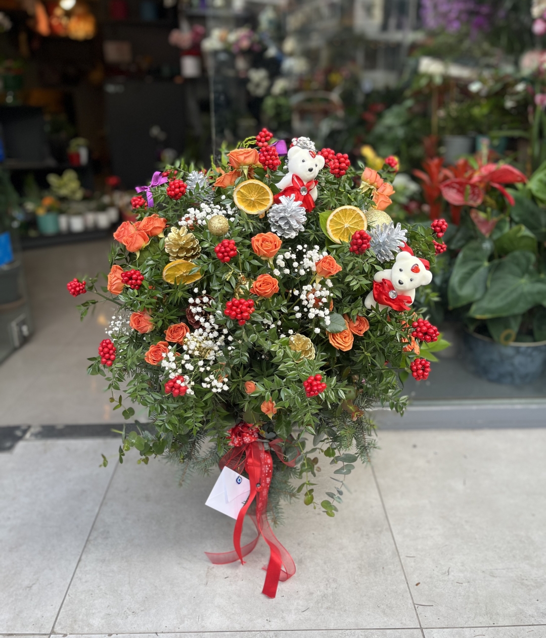 Saksıda Kokina Aranjmanı