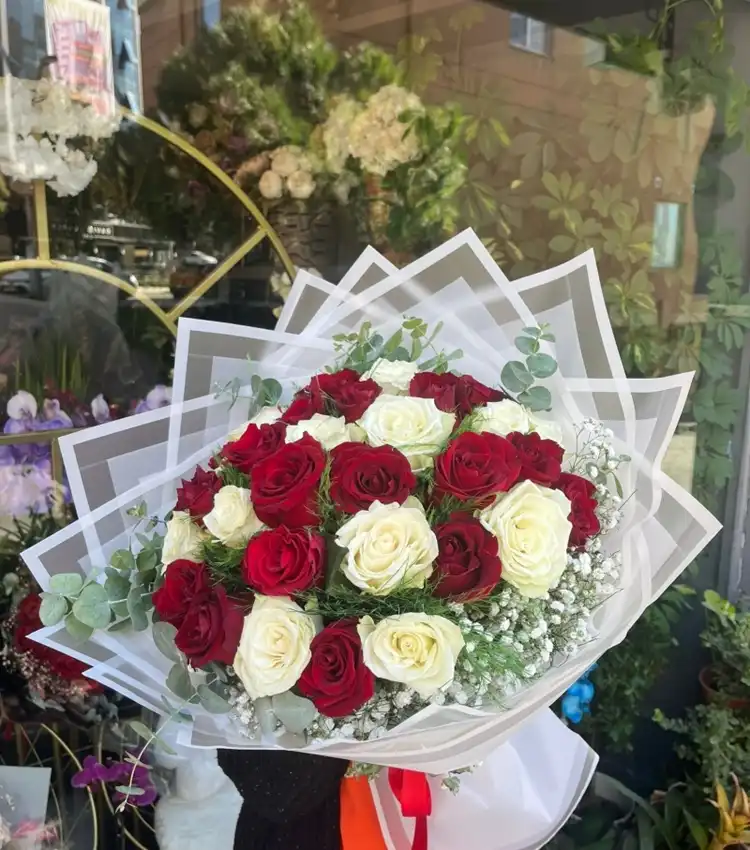 Roses Red and White