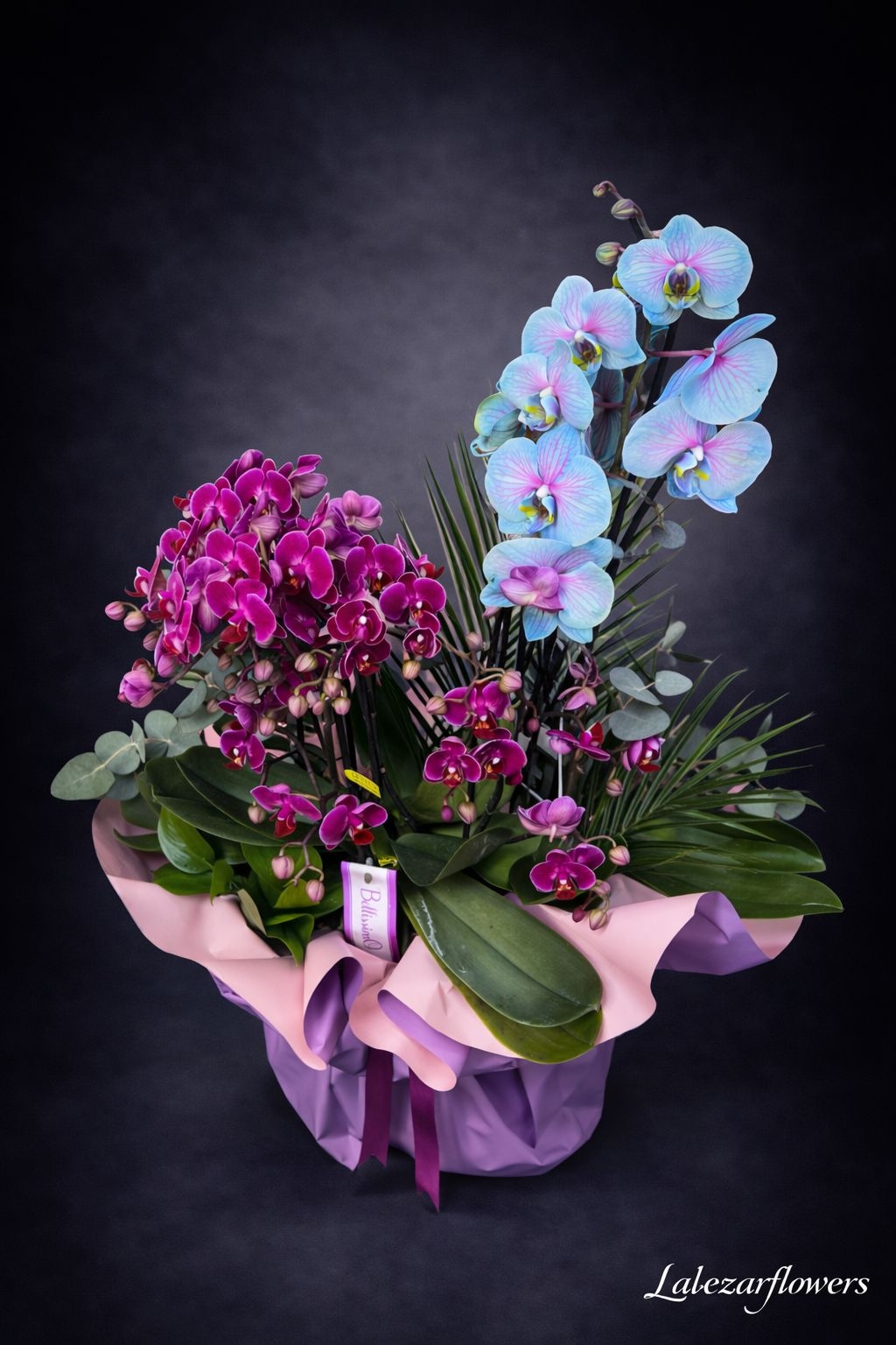 Midi Orkide ve Mavi Pembe Orkide Aranjmanı