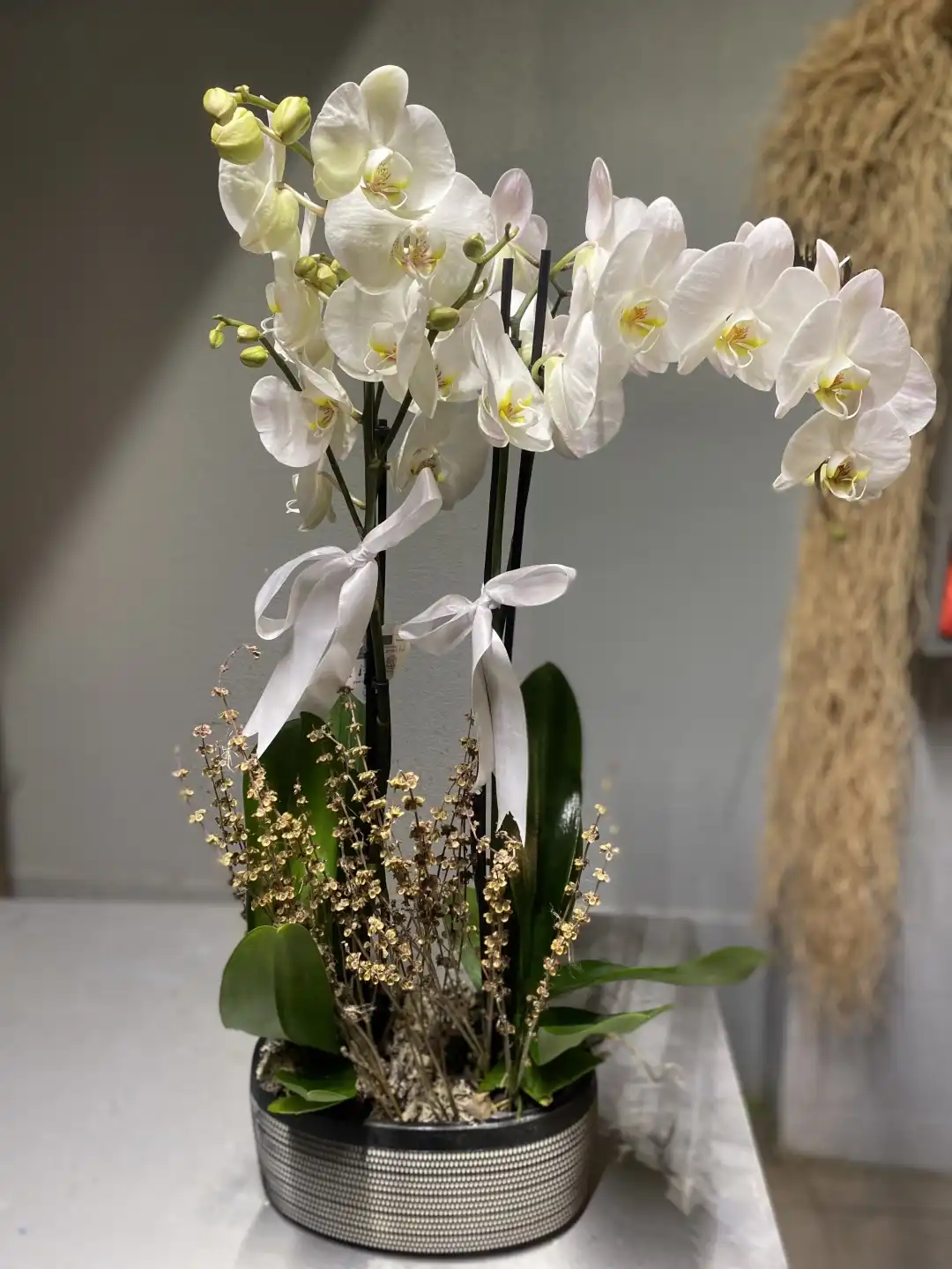 Dekoratif Saksıda 4 Dal Beyaz Orkide