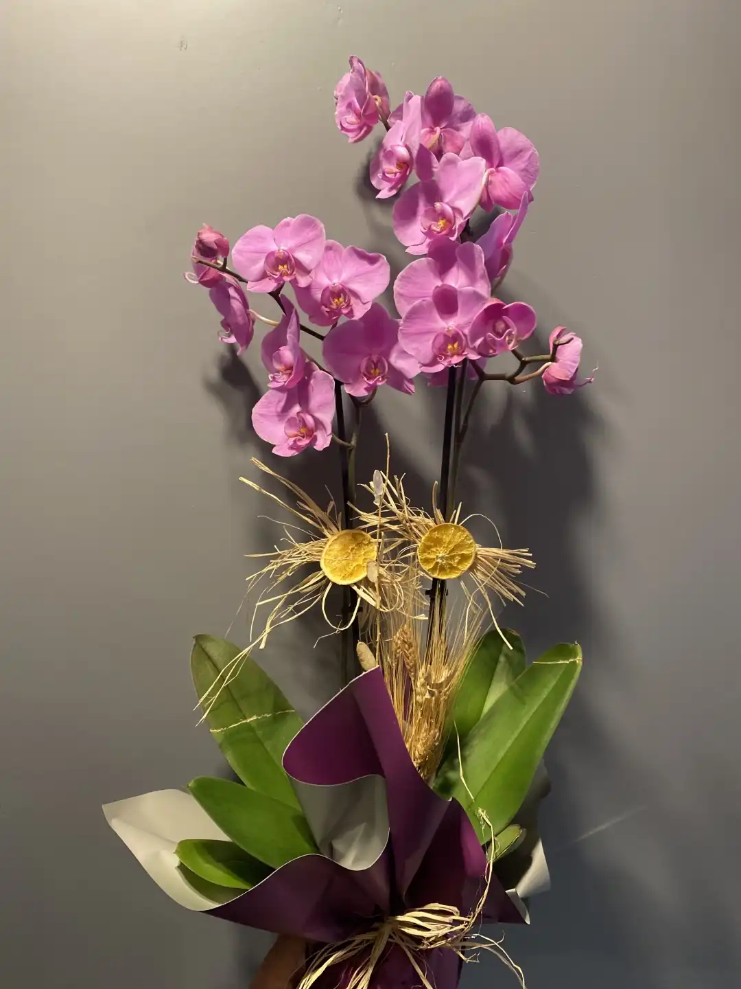 Çift Dal Pembe  Orkide