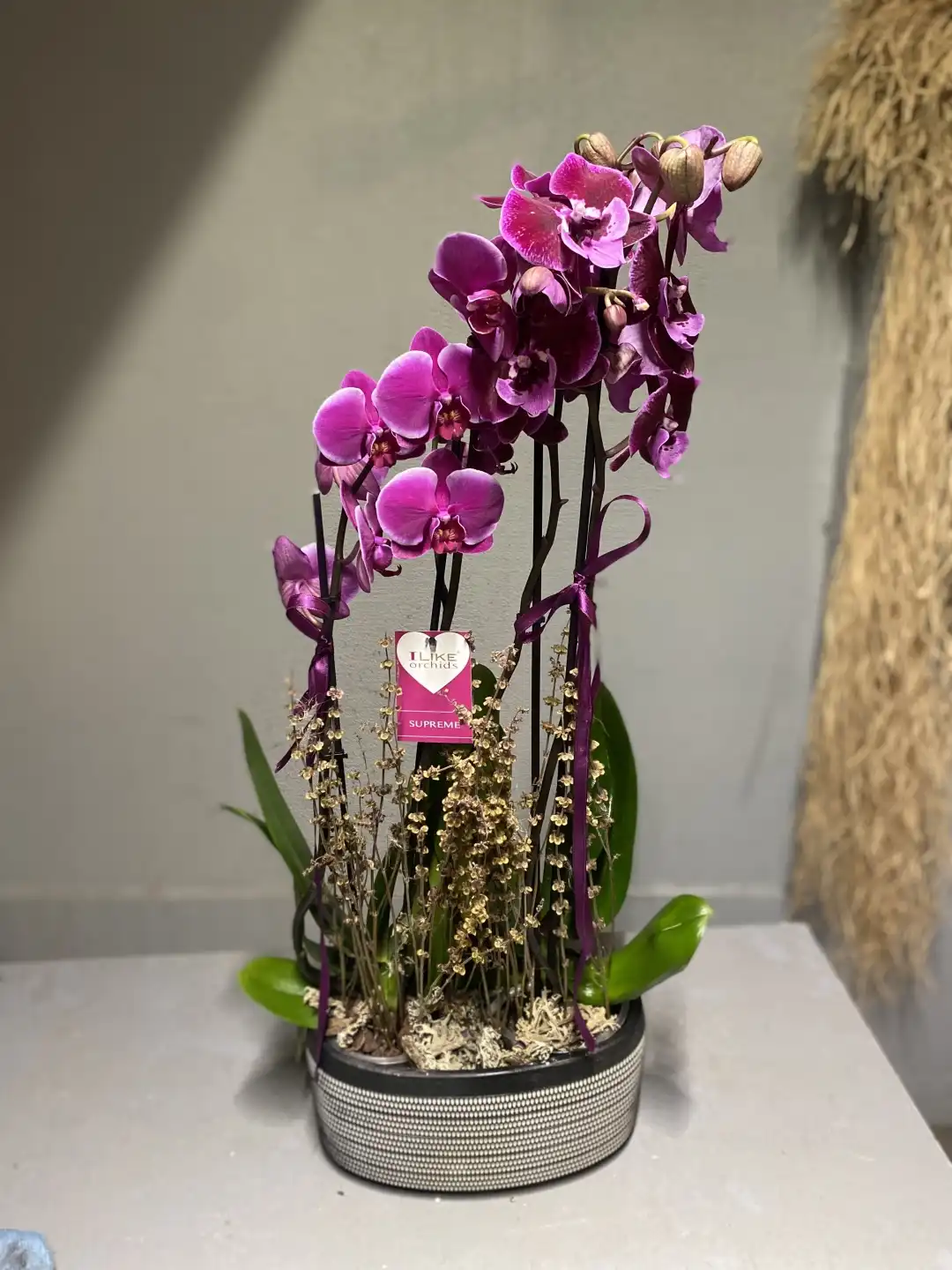 Dekoratif Saksıda 4 Dal Mor Orkide