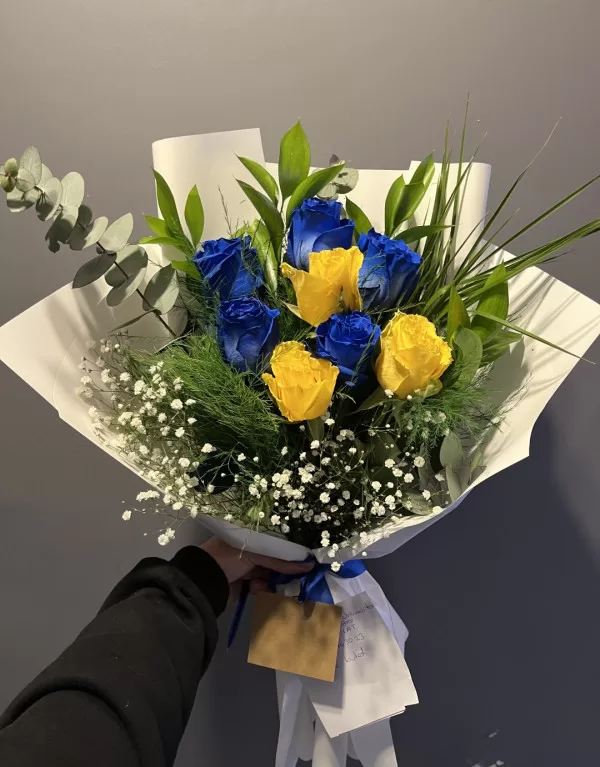 Lacivert ve Sarının Eşsiz Uyumu